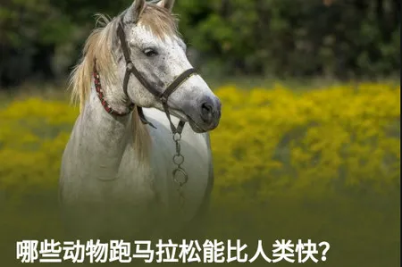 知乎日报最新版本2026 知乎日报最新版本2026