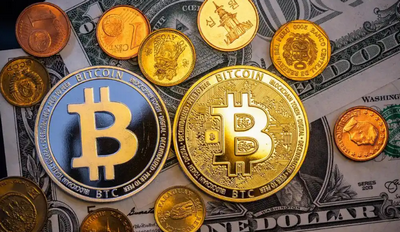 ��Ȧ���׻�������ʲô�����������2026��ʮ����Ѽ��ܻ��ҽ��׻�����