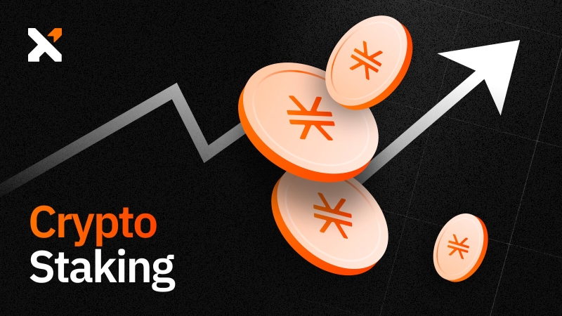 币圈理财哪个靠谱?余币宝与Staking深度对比 币圈理财哪个靠谱?余币宝与Staking深度对比