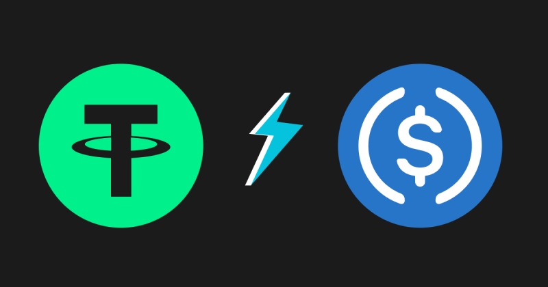 2026���ȶ�����ͷ֮����USDT��USDCȫ��Աȣ��ļҸ��ʺ���