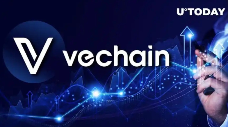 VET����ʲô�ң�VeChainΨ����ҵ�����������ͷ