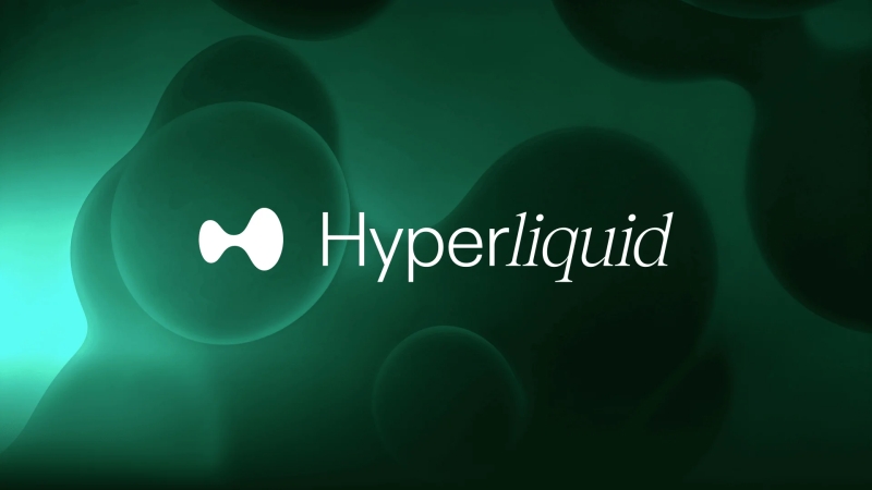 Hyperliquid��HYPE������ʲô��Ϊʲô90���ڱ���80