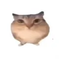 �ͰͲ�һ���������ֻ���v1.0