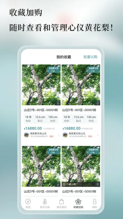 ��ľɭ��(���ϻƻ��潻��ƽ̨)