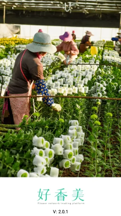 ������(���Ĳɹ�ƽ̨����)