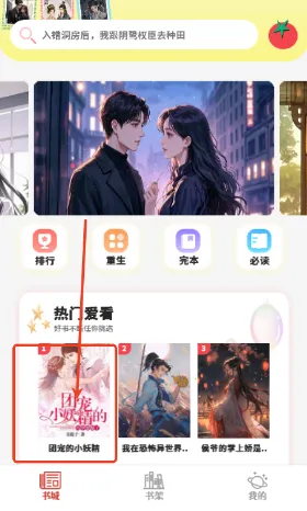 ˬ��С˵(�๦���Ķ�����)