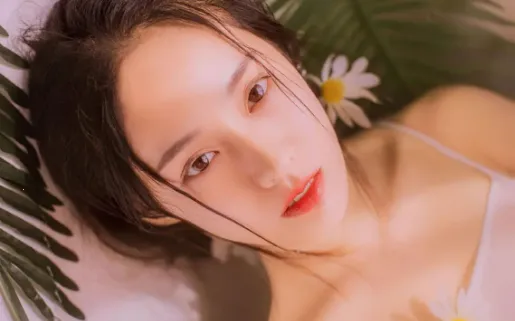 �����������°汾2026