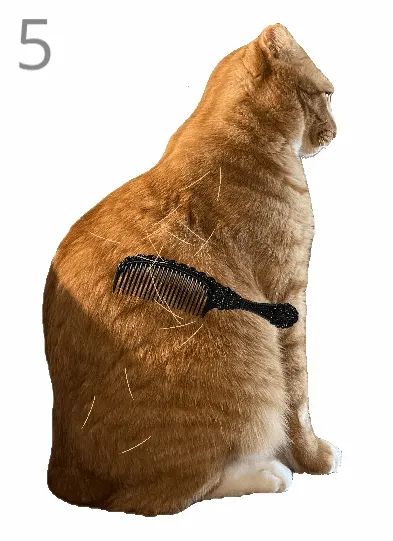 ��è��ë�ٷ���������