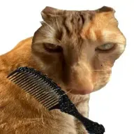 ��è��ë��Ϸ�ֻ���v1.0