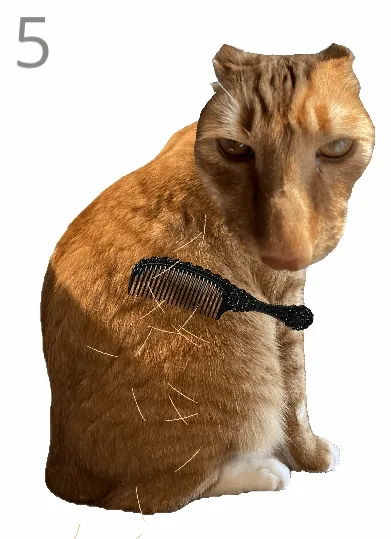 ��è��ë�ٷ���������