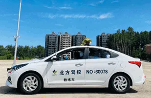 ����������У���°汾2026