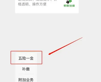 �����籣(�����籣�����籣����)