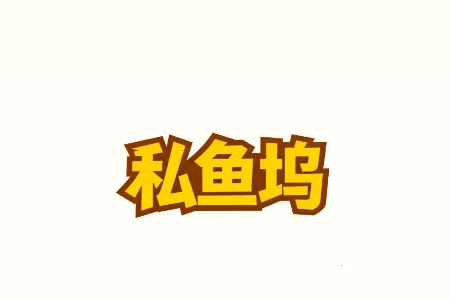 ˽�����ֻ�������