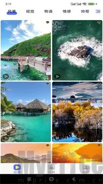 ȫ��ѡ��ֽ�ֻ�������