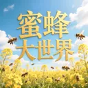 �۷������ٷ��ֻ�������v1.0.9
