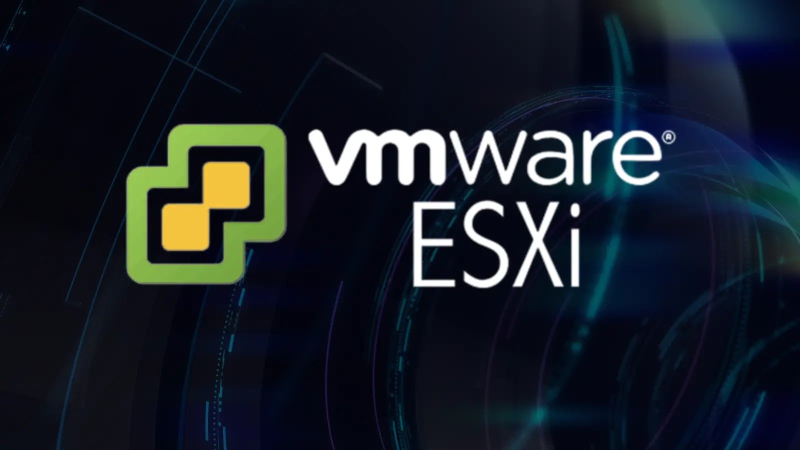 ESXi 8.0����RTL�з��������������������