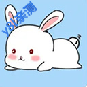 �����ǹٷ���������v4.2.01