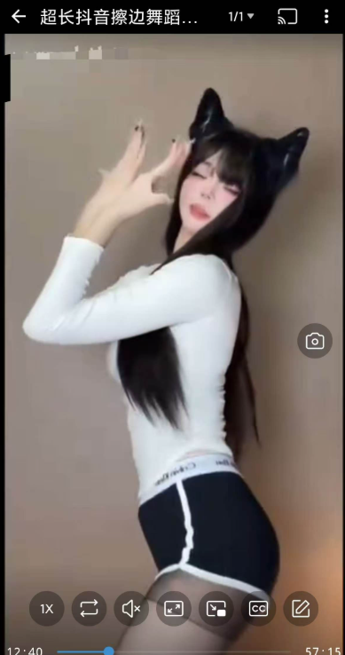 SDownloader��Ƶ�������߼��汾����