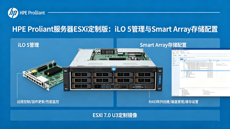 HPE ProLiant������ESXi���ư棺iLO 5������Smart Arr