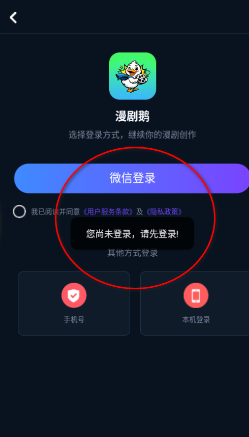 ���������app