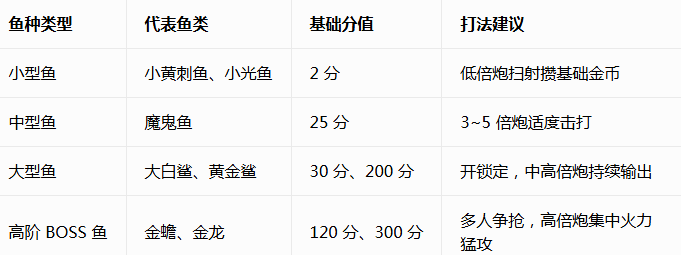 �������555Ӯ���Ѿ���e��