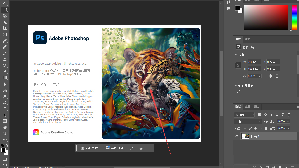 adobe photoshop2024������