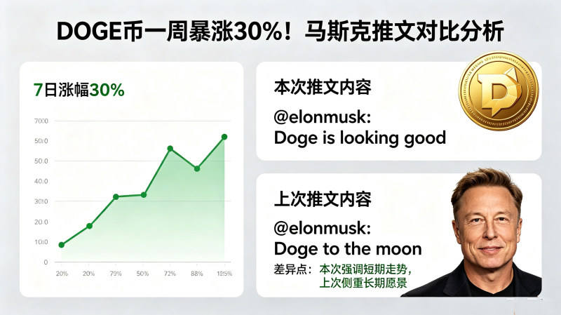 DOGE��һ�ܱ���30����˹���ַ����ˣ���κ�֮ǰ��ʲô