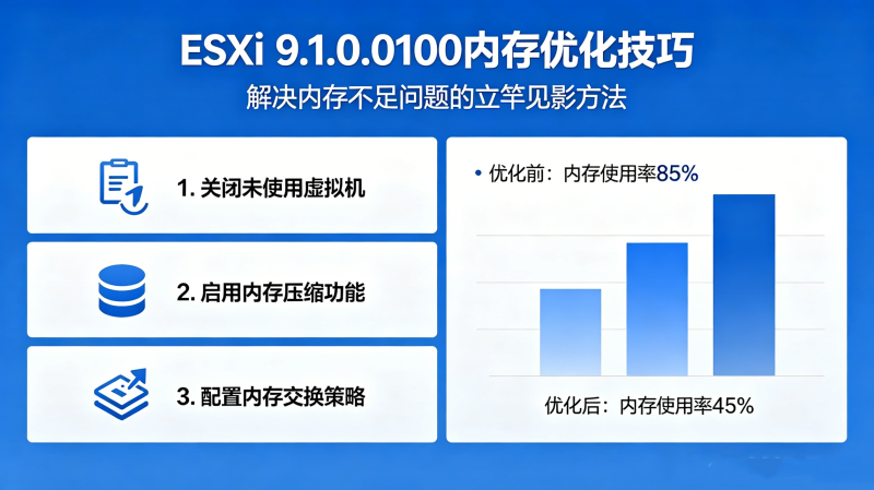 ESXi 9.1.0.0100�ڴ治���ã��⼸���Ż��������ͼ�Ӱ