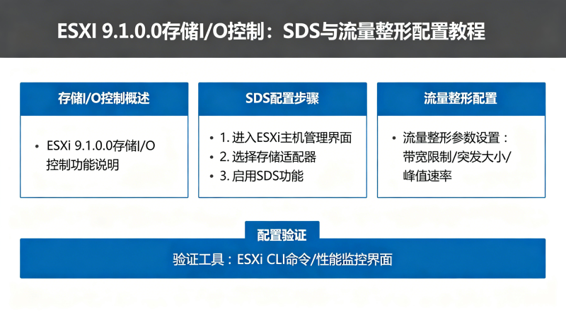 ESXi 9.1.0.0�洢I/O���ƣ�SDS�������������ý̳�