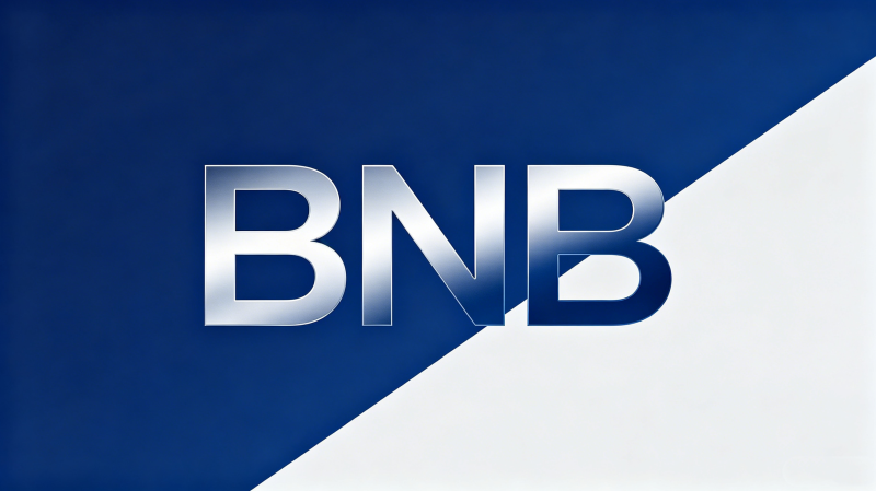 BNB����300��Ԫ���Ұ�������ס������һ���λ��