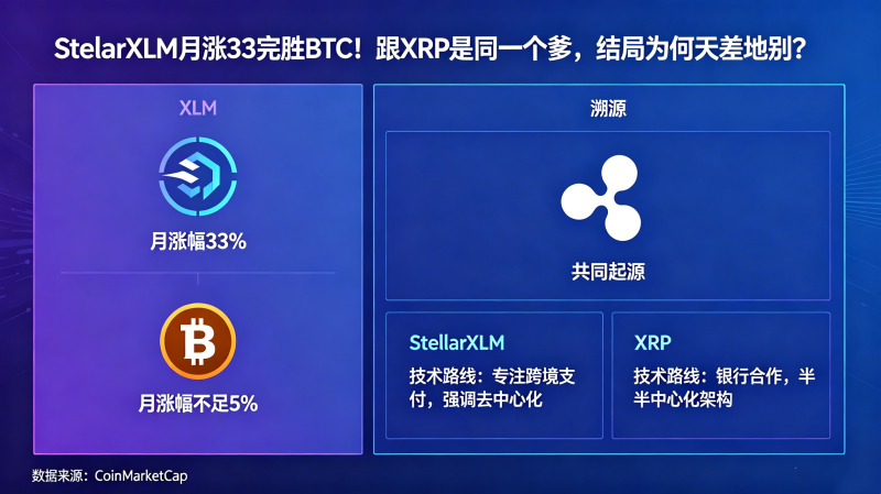 StellarXLM����33��ʤBTC����XRP��ͬһ���������Ϊ��