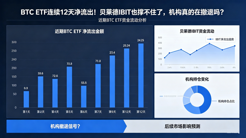 BTC ETF����12�쾻������������IBITҲ�Ų�ס�ˣ�������