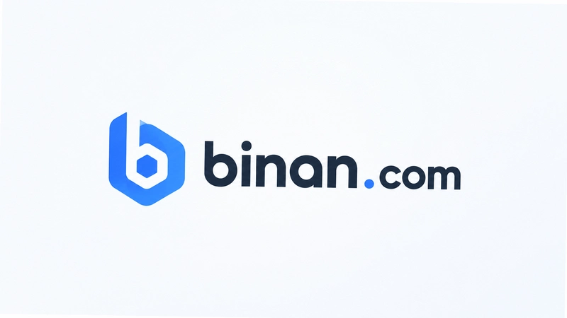 binan.com��ڰ�ȫ����ô���ʣ�������