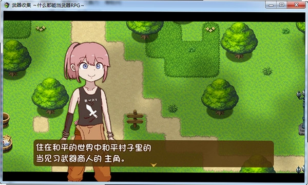 �����ռ���һ�нԿɵ�����RPG