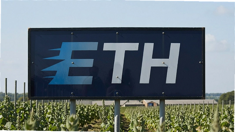 �Ȱ�ETH��ô�棿�ʴ�������ֱؿ����Ҫ��