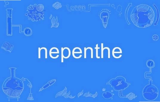����ҩ(Nepenthe)���ֺ����ϣ����