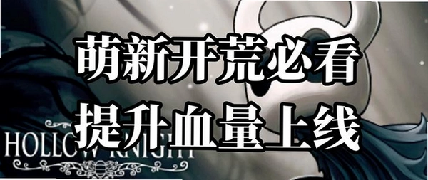 空洞骑士:血脉 血量上限提升攻略