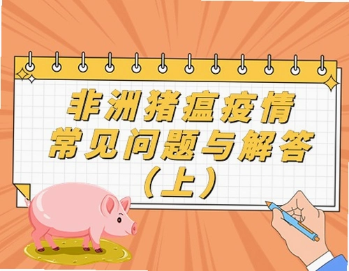 Pig Eat Ball����������