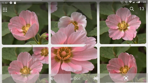 花瓣安卓版界面截图