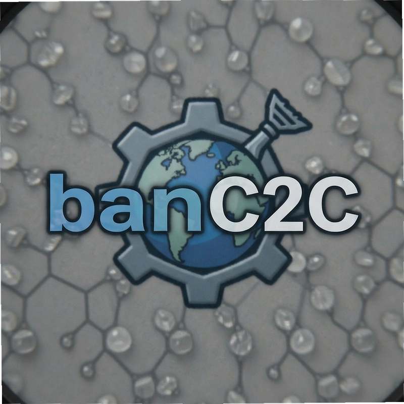 b��C2C��ô����������̰�ȫ��