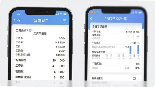 智饷赋app安卓版薪酬管理预览图,展示工资条明细、个税专项扣除计算界面,背景浅灰,文字清晰无乱码