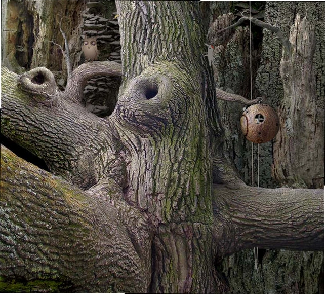 �������ռ�1Samorost 1