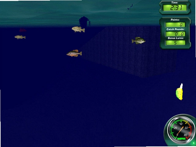 �����������FLW Fishing