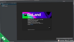 JetBrains GoLand 2020中文版v2020.3最新版