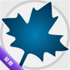 Maplesoft Maple2024���ļ��������v2024.2���°�