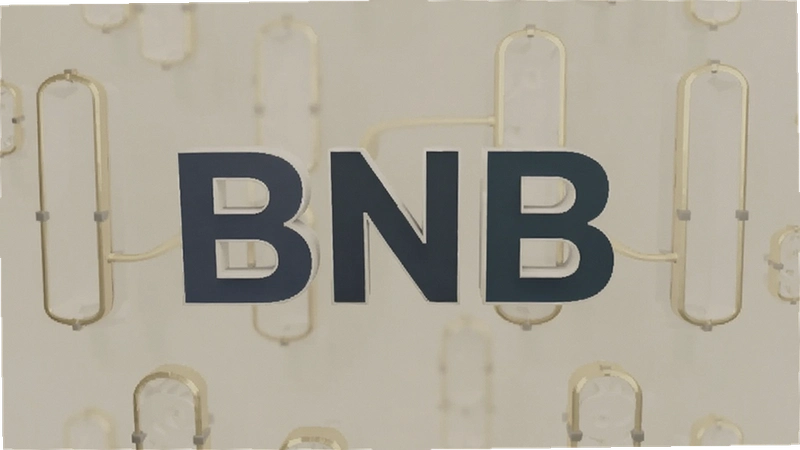 BNB��Լ��ô�棿�������űܿ�ָ���뱬�ַ������