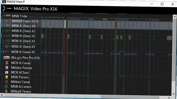 MAGIX Video Pro X16��ʽ֧���б���ͼ