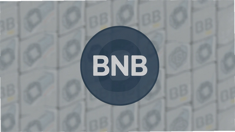 BNB��ҳٳٲ�������ô�죿������ٽ�������ӳ�����