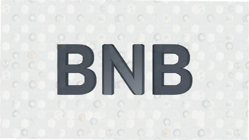 BNB��ϵ���Ͽͷ���ô�죿�ٷ���������ָ��