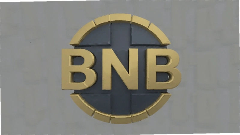 BNB�ɿ���Ͷ��ǰ�ؿ��ķ������������